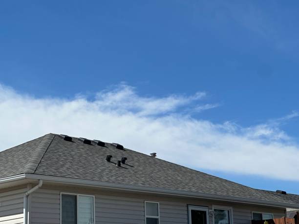 Professional Roofing Services in Everett, WA